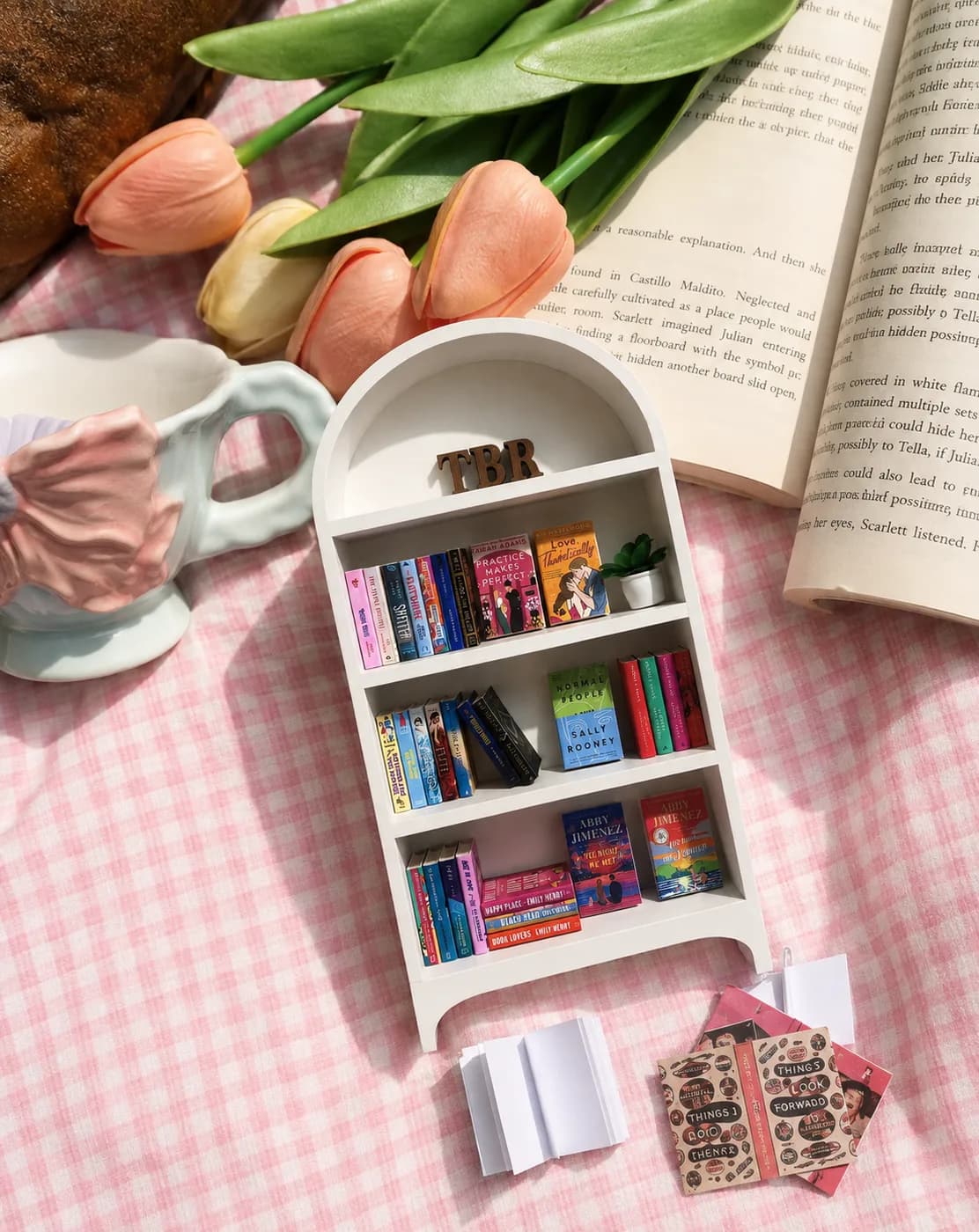 Mini Bookshelves